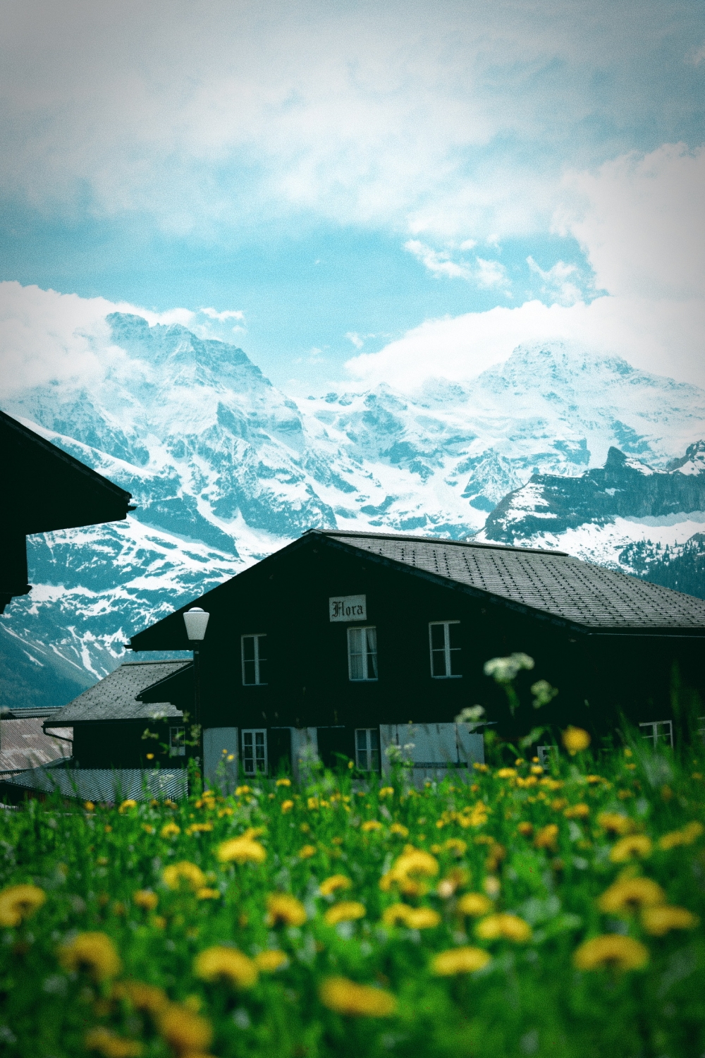 Aqua Tone 400 frame with a misty teal skyline captured in Vintage Film Camera